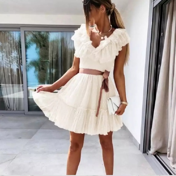 Pink Blush Ruffle Tulle Elegant Pleated Dress - Picture 6 of 16